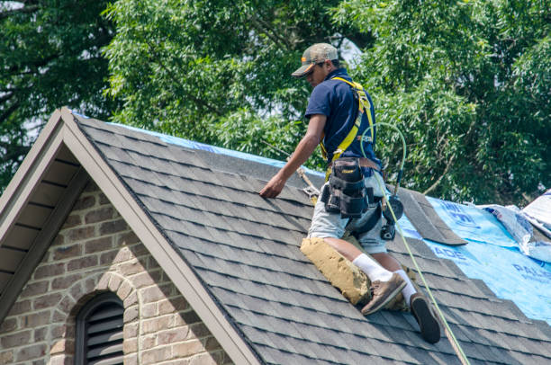 Best New Roof Installation  in Buchanan, MI
