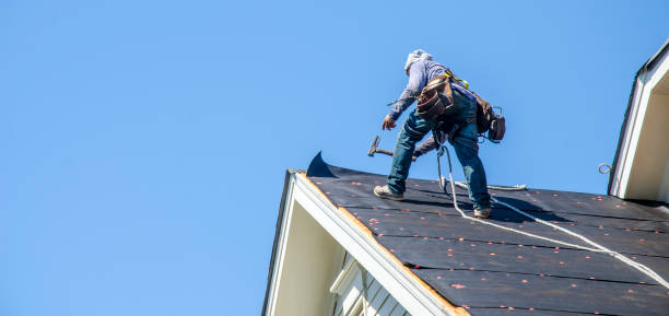 Best New Roof Installation  in Buchanan, MI